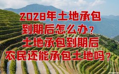 40年土地年限到期后怎么办 40年土地使用到期之后怎么交费