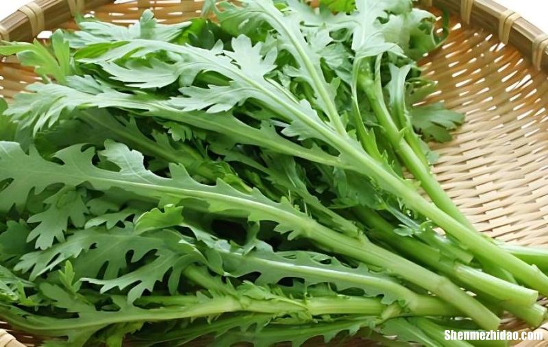 大叶子茼蒿怎么吃 大叶茼蒿长什么样子