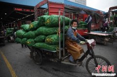 绍兴蔬菜批发市场 绍兴蔬菜批发市场在哪里