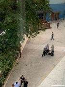 抢手机被撞死怎么处理方法 抢手机案件一般警察怎么处理