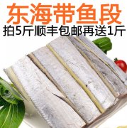 舟山带鱼段批发价 舟山带鱼批发商电话