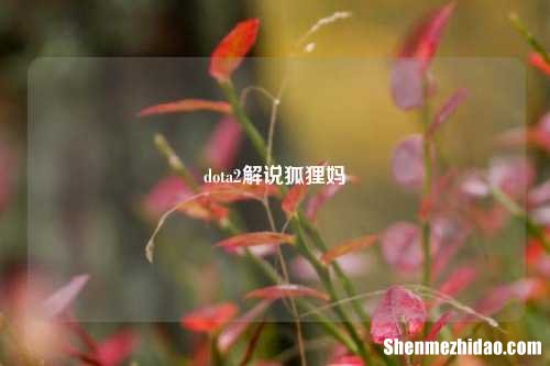 dota2解说狐狸妈