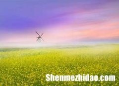 杨馨月这个名字打多少分 杨馨这个名字的含义是什么