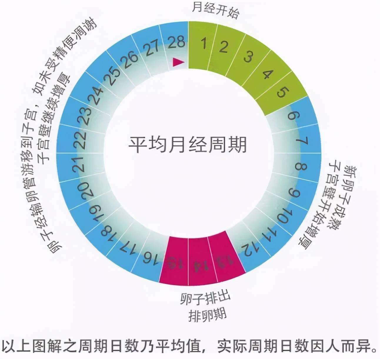 打完促排卵针多久来月经 打了促排卵针之后多久排卵