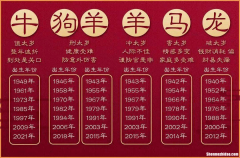 1995年1月5号出生农历是多少岁