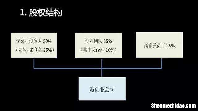 裂变式创业管理咨询项目