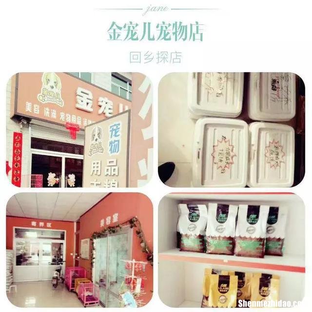 宠物店该怎么选址 宠物店的选址与装修