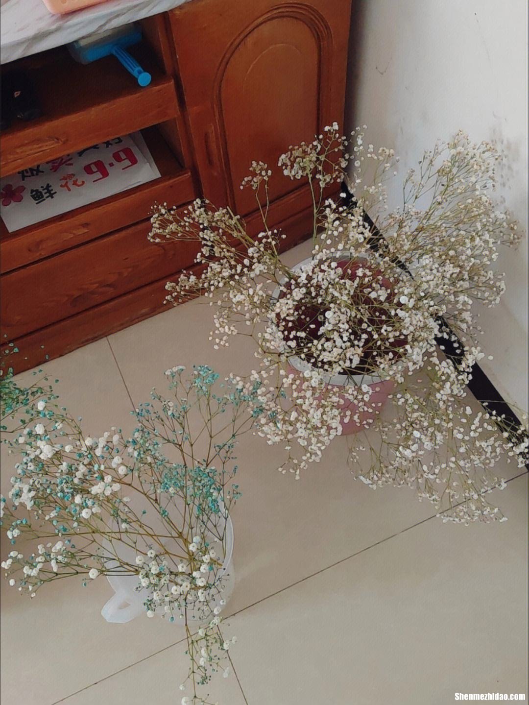 印尼满天星叶子黄怎么办 印度满天星小叶紫檀怎么鉴别