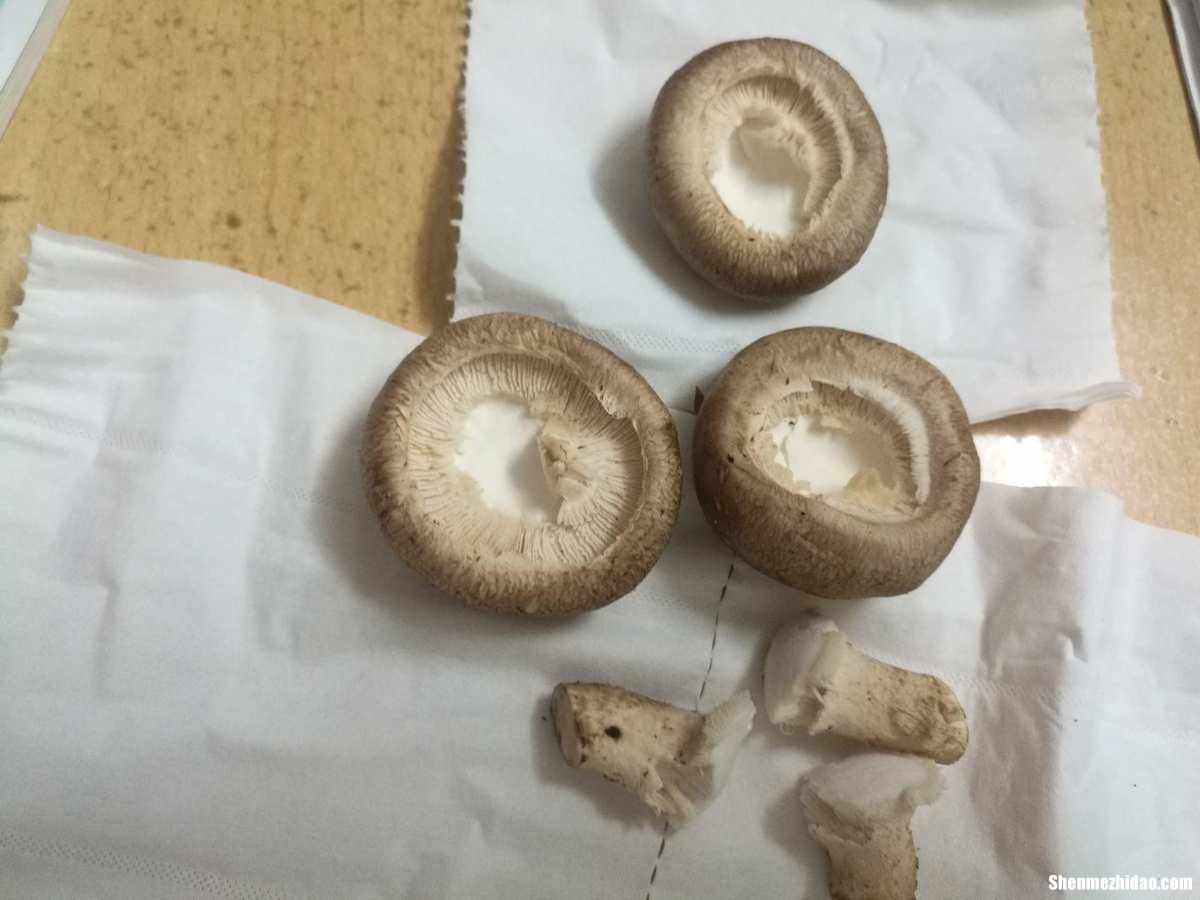 蘑菇孢子过敏怎么办 蘑菇孢子对人体有害么