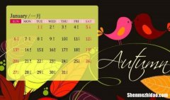 2000年6月9日农历是多少岁 农历2000年6月9日是什么星座