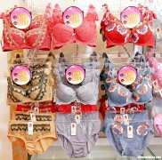 内衣特卖申请书怎么写 内衣特卖申请书怎么写的