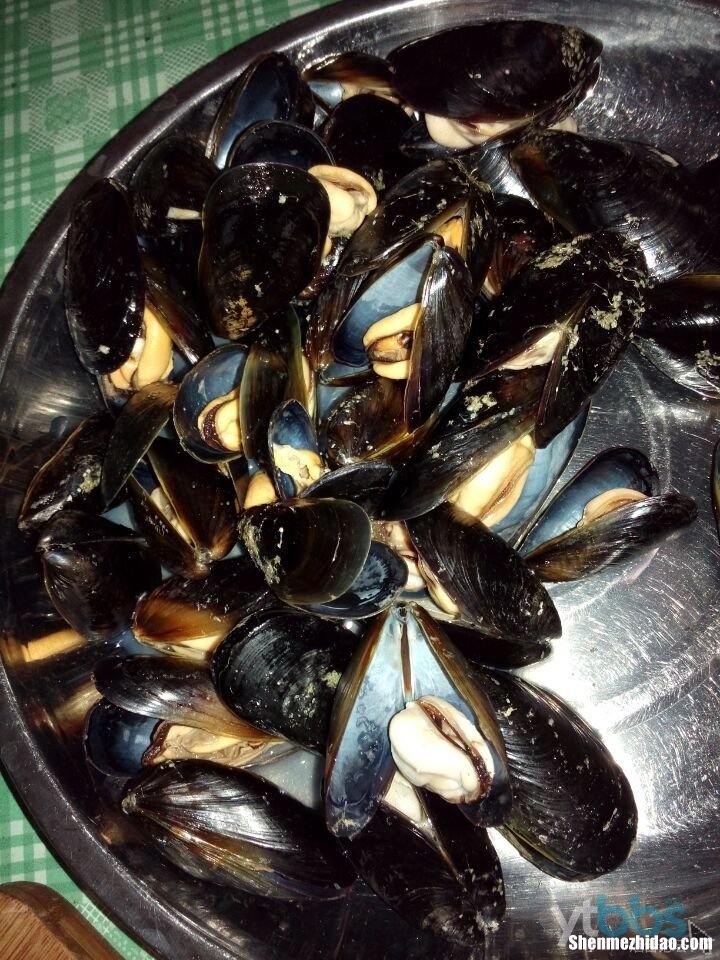 海虹需要煮多久 海虹需要煮多久才可以吃