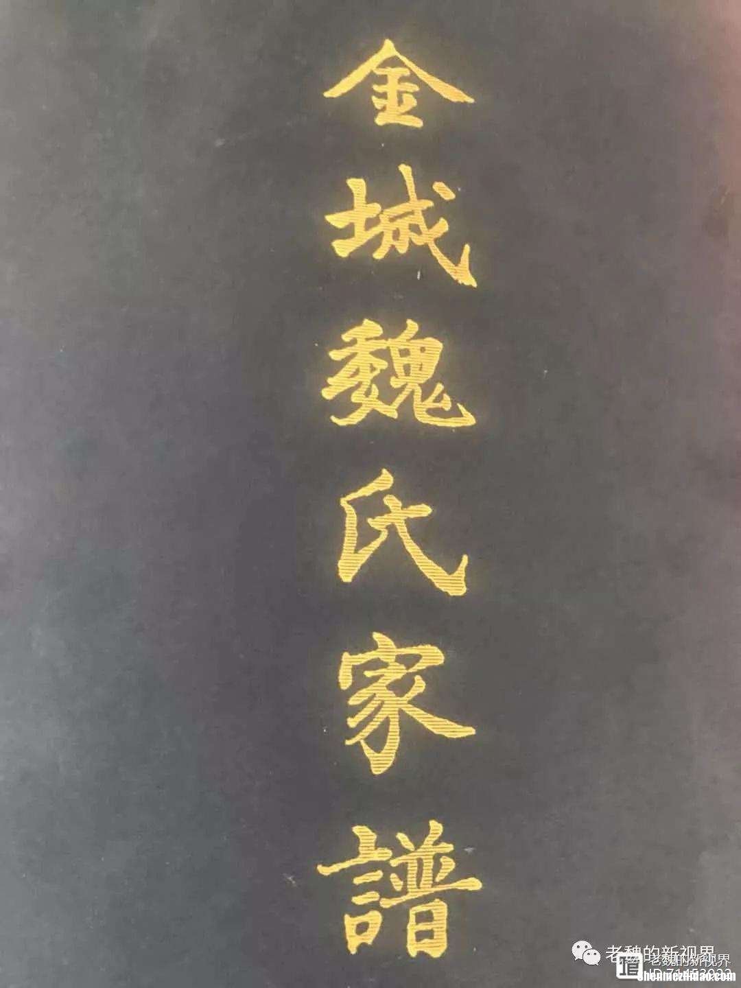 魏姓的族谱在哪里长多少
