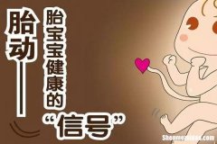怀男孩一般多久胎动 怀男孩一般多久胎动正常