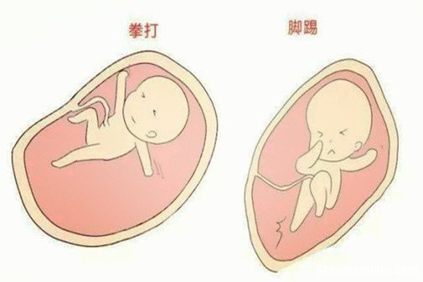 怀男孩一般多久胎动 怀男孩一般多久胎动正常
