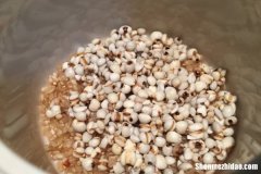 糙米薏仁汤应该怎么做 糙米薏仁汤对梦魇的功效可能是