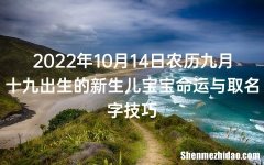 10月19是农历多少 10月19日是什么星座