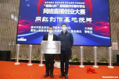 网络直播创业思路项目规划 网络直播创业思路项目规划怎么写