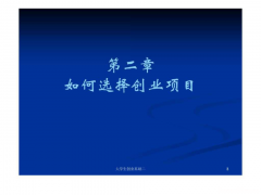 100块创业项目ppt