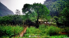 晨烟暮霭怎么读 晨烟暮霭,春煦秋阳意思