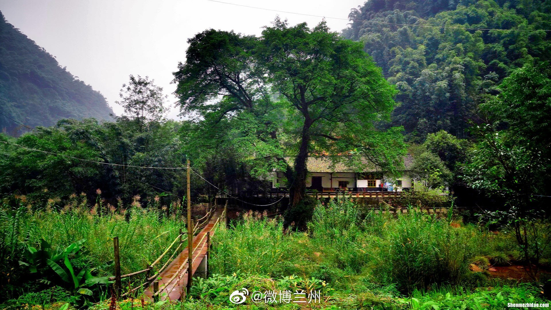 晨烟暮霭怎么读 晨烟暮霭,春煦秋阳意思