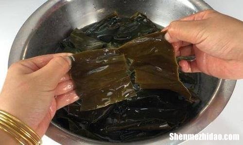 海带泡完了怎么保存 泡好的海带放冷藏还是冷冻