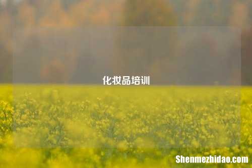 化妆品培训