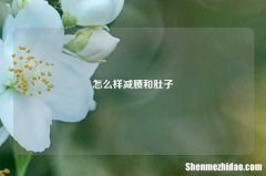 怎么样减腰和肚子