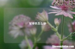 军绿色怎么穿