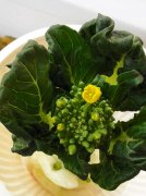 买回家的疏菜应该怎么种植 买回家的疏菜应该怎么种植视频