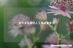 官方火车票的人工电话是多少