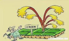 村委会违法发包土地怎么办 村委会违规发包土地什么部门处理