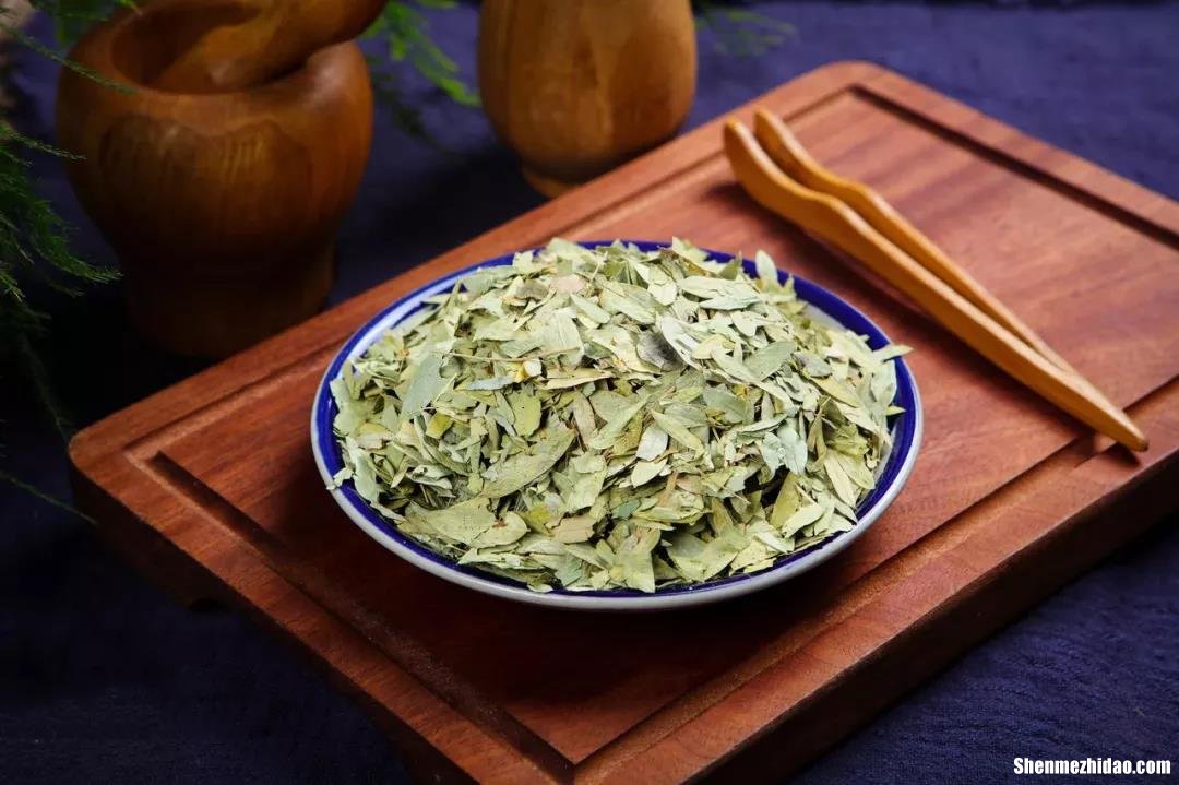 番泻叶药效会持续多久 番泻叶药效持续多久失效