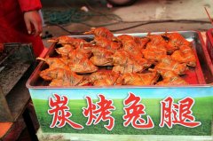 光波炉怎么做烤兔子图片 光波炉怎么做烤兔子图片教程