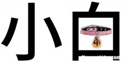 白字起名多少画 白字的笔画名称是什么意思