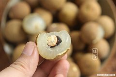 龙眼怎么挑 龙眼怎么挑选