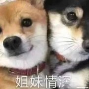 质量双六承诺是什么 质量双放心具体指哪两个放心