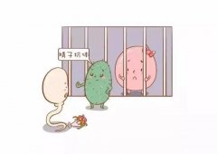 抗精子抗体高不同房多久能好