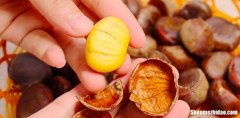 板栗最长能放多久 板栗最多可以保存多久