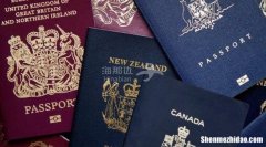 新西兰护照尺寸是多少厘米 新西兰护照尺寸是多少厘米的
