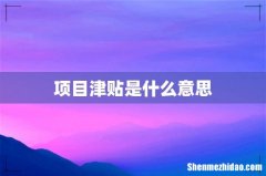 项目津贴是什么意思