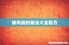 猪肉肠的做法大全配方