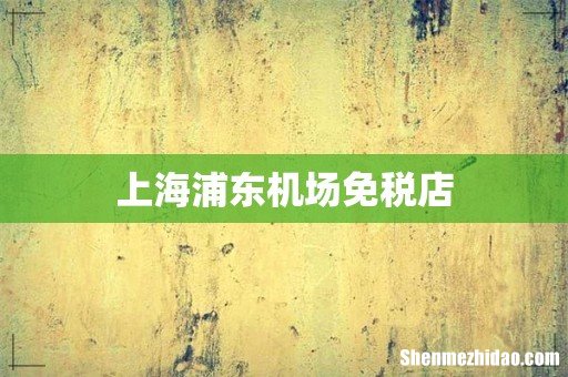 上海浦东机场免税店