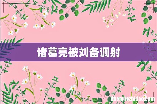 诸葛亮被刘备调射