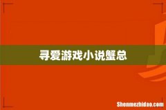 寻爱游戏小说蟹总