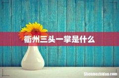 衢州三头一掌是什么