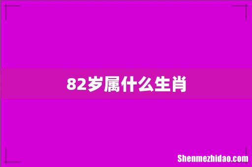 82岁属什么生肖
