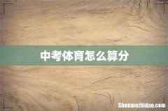 中考体育怎么算分