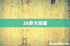 28多大排量