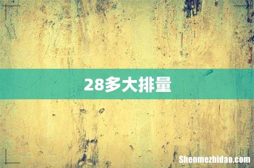 28多大排量